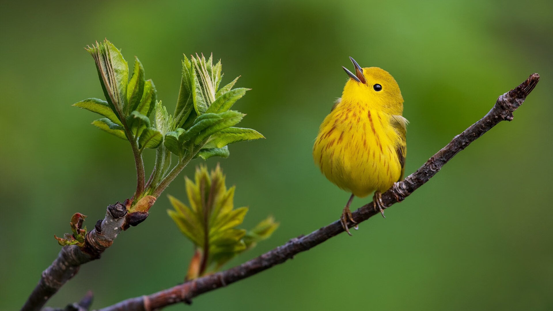 中超联赛强化中后场防守提升整体比赛控制力，中超防守反击球队