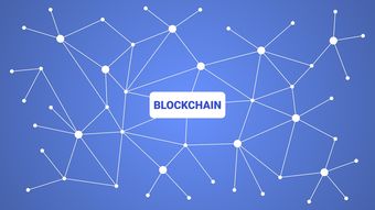 开云体育入口-英超青训采用虚拟现实技术强化战术理解与应变能力，英超试训