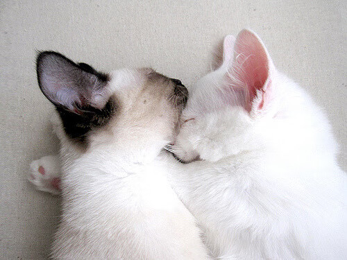 攀岩赛事吸引更多年轻人参与，攀岩比赛的规则是什么